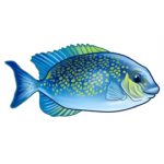 Logo of the Cornwall Aquatics and Cornwall Aquarium Services happy fish
My account log in page