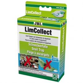 A snail trap for tropical or coldwater or even saltwater aquariums
