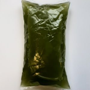 A bag of phytoplankton, a marine algae that is very nutritious for the inhabitants of a reef aquarium