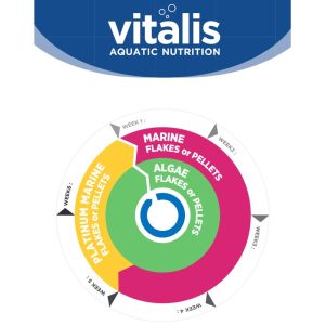 Vitalis feeding guide for marine pellets and marine flake food with platinum range