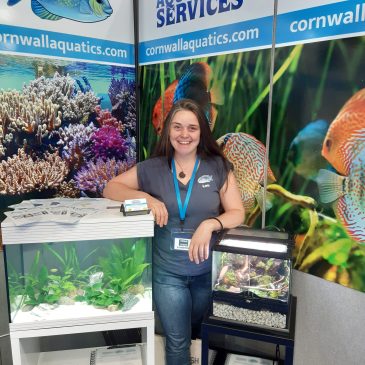 🐟 Affordable Aquarium Essentials Under £25 | Cornwall Aquatics