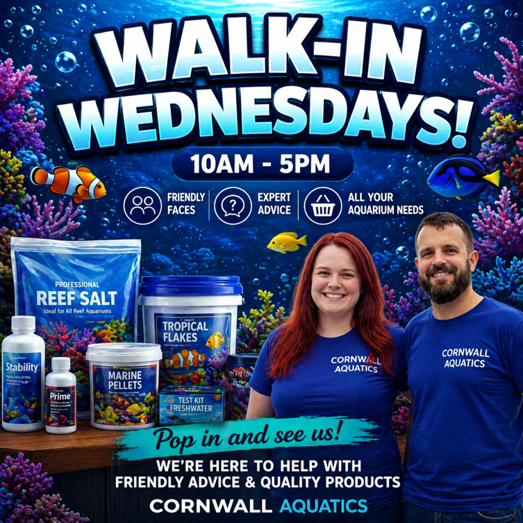 you can get all your aquarium essentials for under £25 in our shop on walk in wednesdays