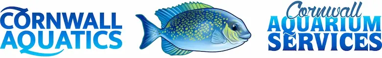 Cornwall Aquatics & Aquarium Services